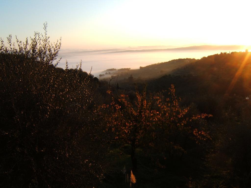 Villa Santa Maria 몬탈치노 외부 사진